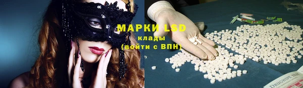 эйфоретик Майский
