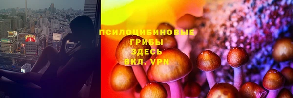 каннабис Магас