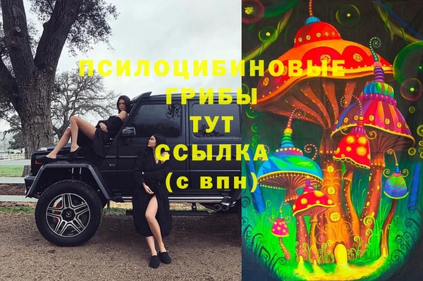 каннабис Магас