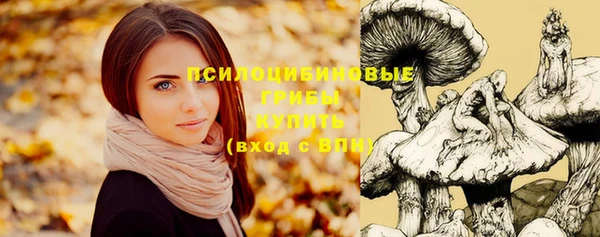 эйфоретик Майский
