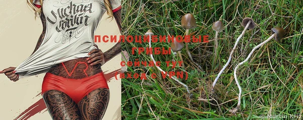 эйфоретик Майский