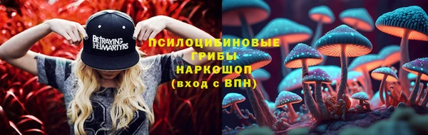 прущая мука Магадан