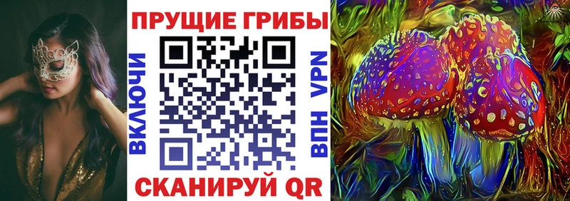 Купить закладки  Рославль  Галлюциногенные грибы Cubensis 