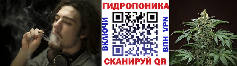 Бошки Шишки гибрид Купить закладки Рославль